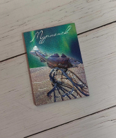 Магнит металлографика "Треска", размер 4.5*5.8 см