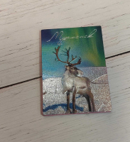 Магнит металлографика "Олень", размер 4.5*5.8 см